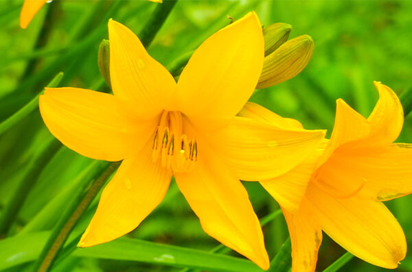 株式会社中川建設　中川の自然　写真6