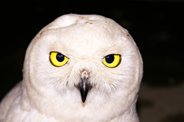 株式会社中川建設　中川の自然　写真5