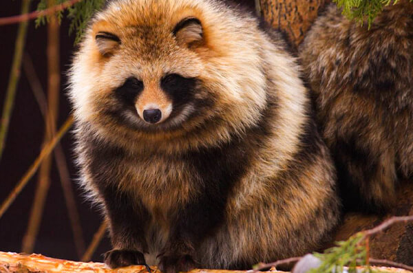 株式会社中川建設　中川の自然　写真7