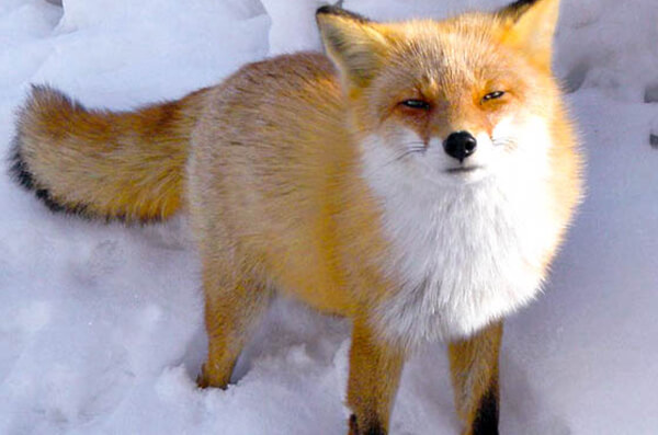 株式会社中川建設　中川の自然　写真10